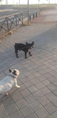 Slot y leya
