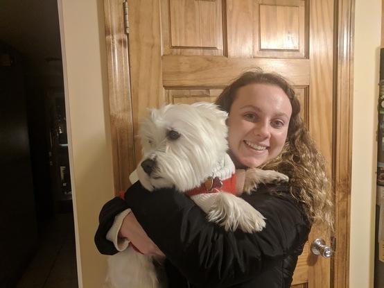 Celebrando la Navidad con mi perro.