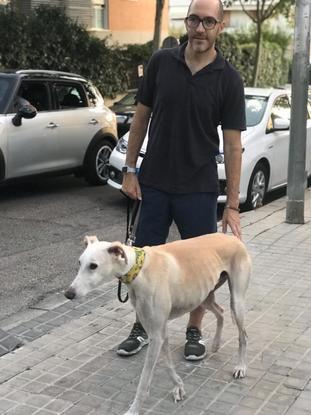 Paseando a Fénix!