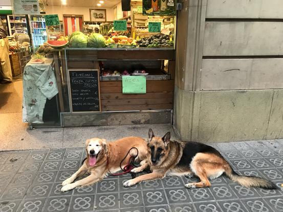 Kira y peque esperàndonos!!!