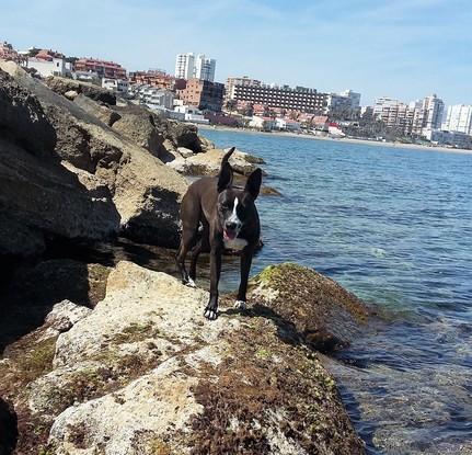 Trufa en las Rocas del Cabo de las Huertas