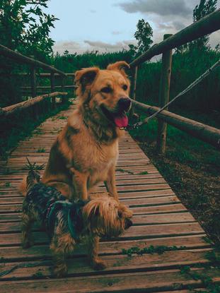 De excursión 🍂🌳