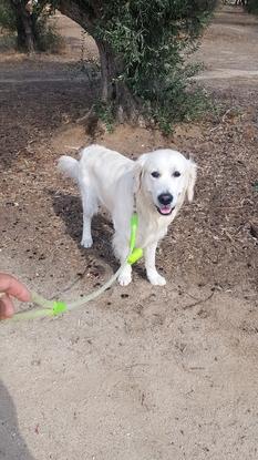 Paseando a Zeus