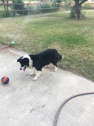 ¡Tirame la pelota!