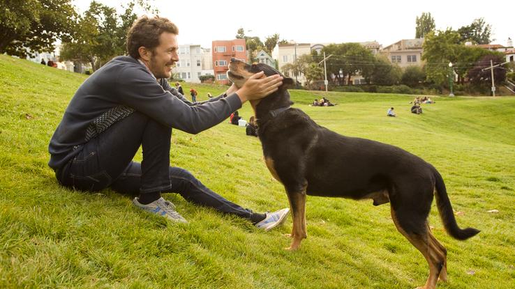 Cuidando de Drugo, mezcla de pastor alemán y rottweiler en San Francisco