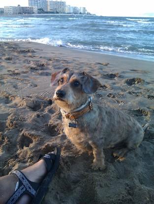 Nuestro tesoro disfrutandi de un día de playa