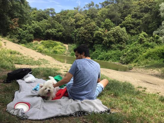 Picnic en el tibidabo