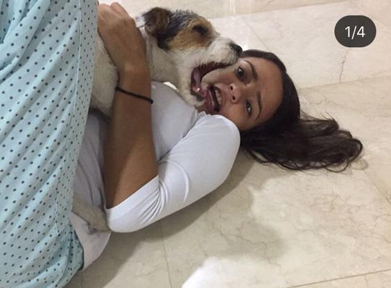 🐶