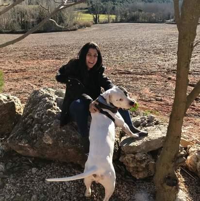 A correr por el campo, pirata siempre con su juguete favorito en la boca