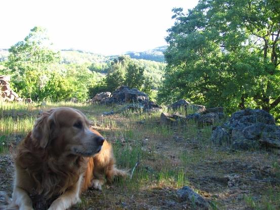 Un buen paseo en la naturaleza con la mejor de las compañías 