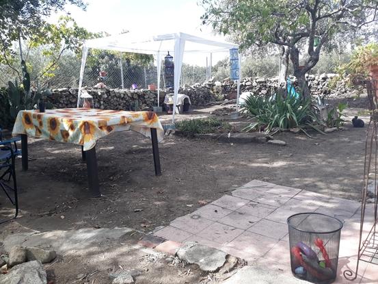 Jardin