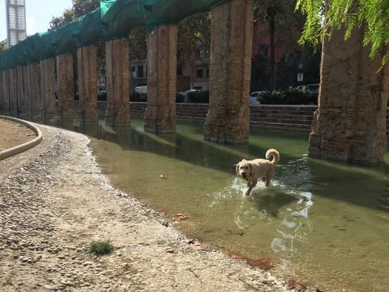 Parque El clot
