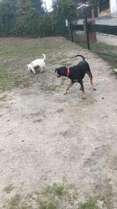 Jugando con Hilda y Berta