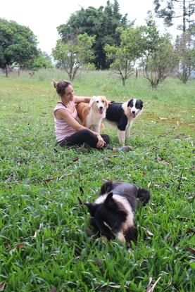 Clarice, Panda y Brisa