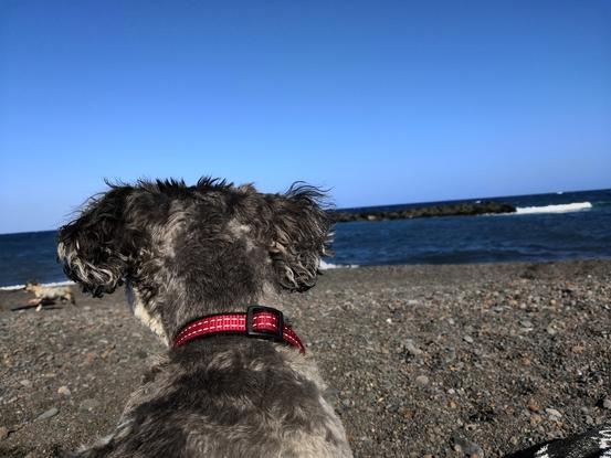 La playa no puede faltar.