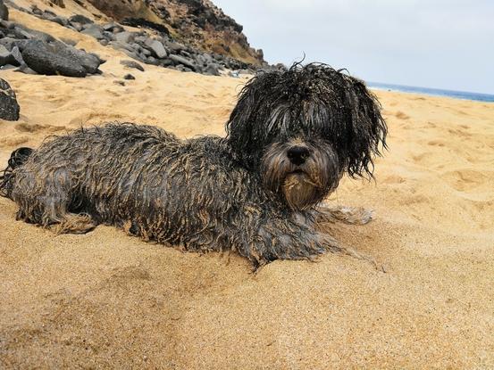 Fuerteventura..! 