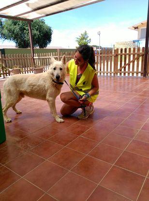 Con Oso en Protectora canina Benjamin Mehnert 