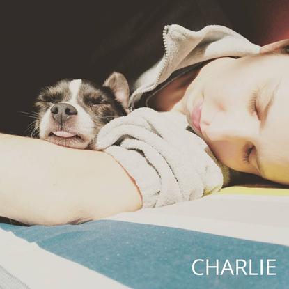 Charlie