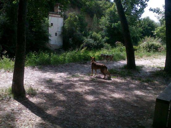 Miho y Noah, complementados con el paisaje