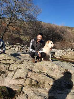 Paseo mañanero en el campo