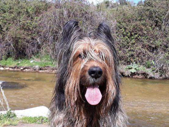 Dante, en uno de los muchos paseos que dimos juntos 