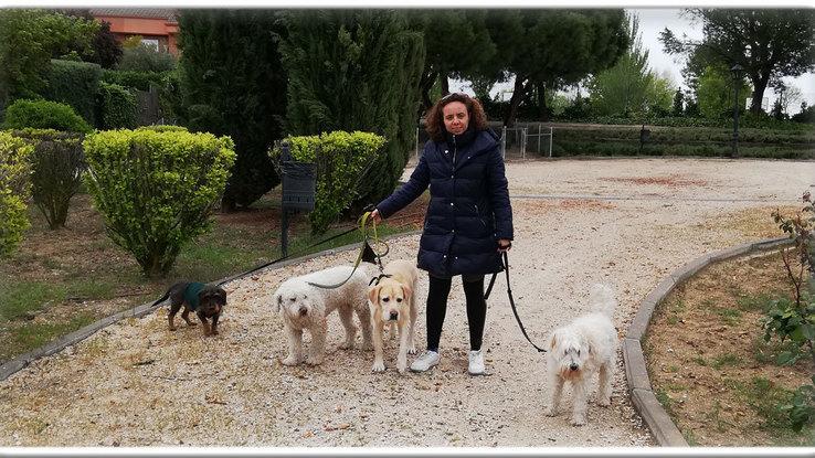 De paseo con Olaf y nuestros invitados.