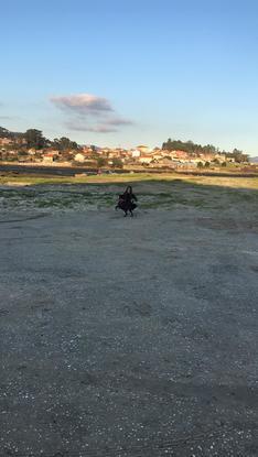 Lola y yo jugando en la playa 