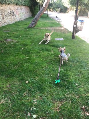 En el parque con Noa y Maggie 