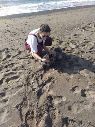 Día de playa con Chugo.