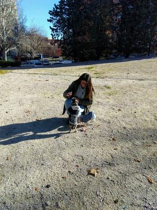 Los primeros perros que cuidé por Madrid 😍