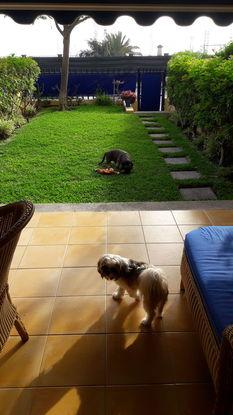 Los peques de la casa disfrutando.