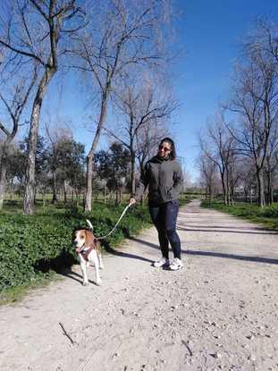 Paseando a Niggan