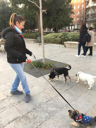 Paseando a Bleda y Antonieta