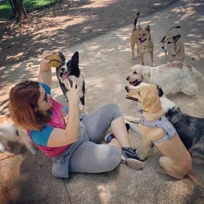 En el parque con los pêros con los cuales paseo