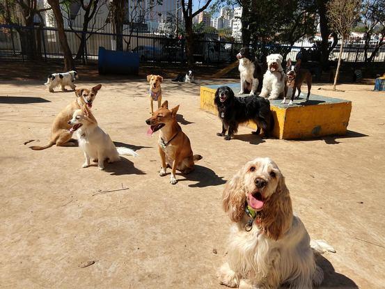 Los clientes en el parque