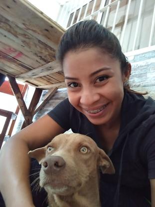 Día de veterinario Aldebaran