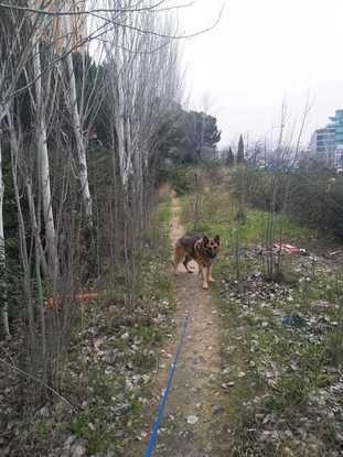 Paseando a Bora en el Barrio de la concepción