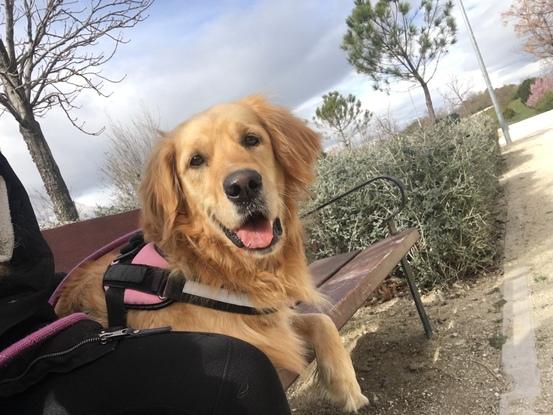 Descansando un poquito después del paseo