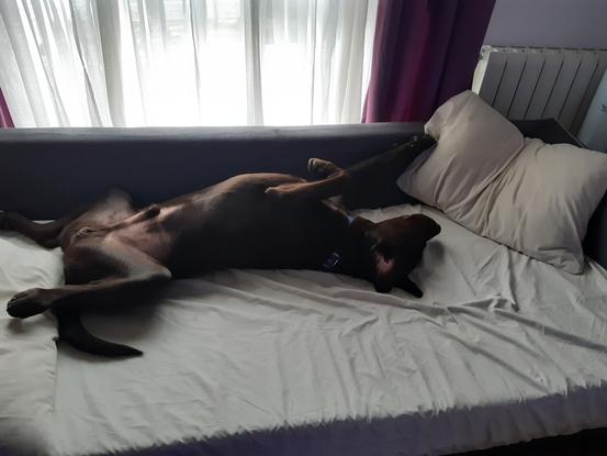 Krahe como en su casa