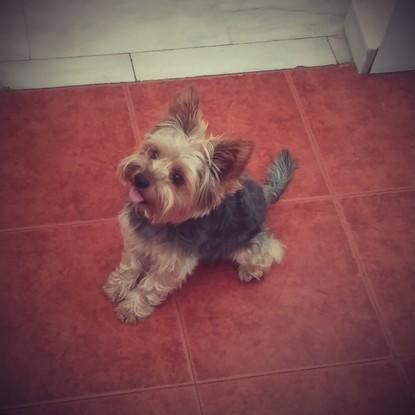 Mi Aaroncito