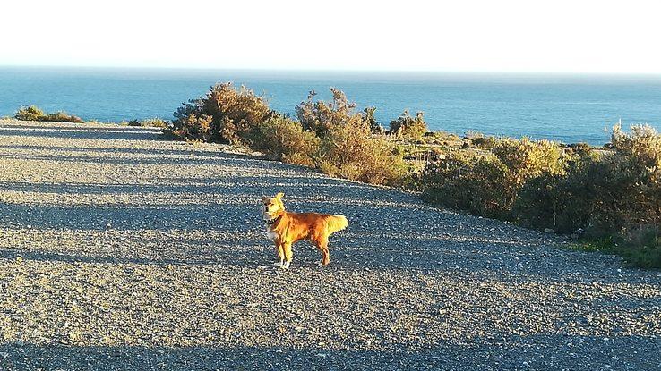 Zona para pasear en mi barrio Castell del Rey ALmería