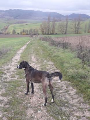 Paseos en Pamplona