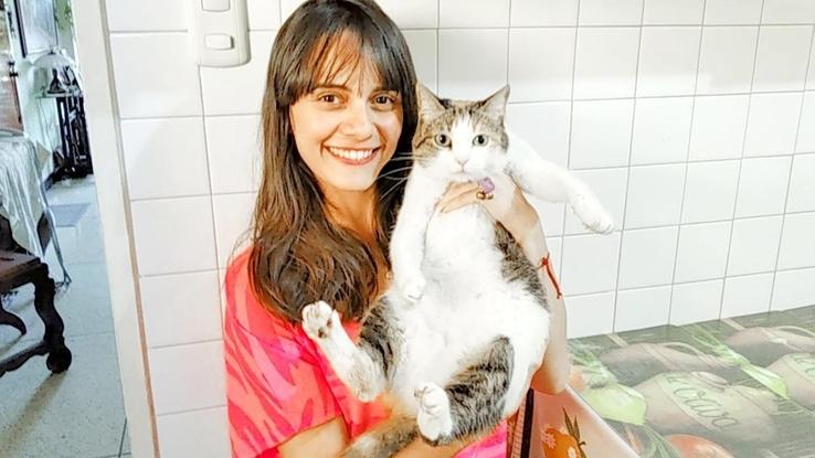 (LLuvia) gatita calica super consentida y un tanto obesa, actualmente es más hija de mi mamá que yo. 