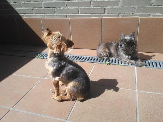 Tomando el sol