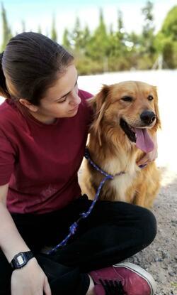 Espurna, perrita de refugio que fue adoptada.