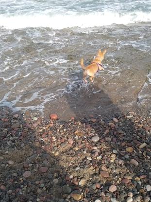 Izan disfrutando de la playa