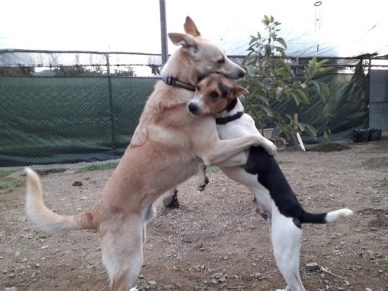 Abrazos 🥰 padre e hijo 