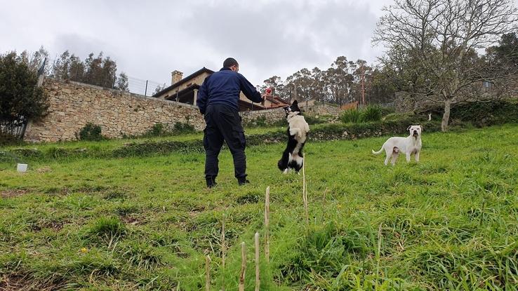 Ese vínculo entre el amo y su perro ,es algo difícil de igualar