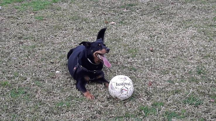 A Nawal le encanta jugar a pelota