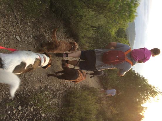 De excursión por el bosque